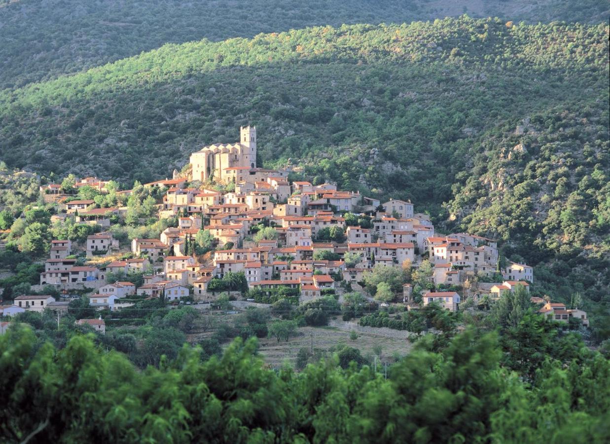 Gite Le Canigou 3* Dans Un Mas Typique Catalan Прад Экстерьер фото